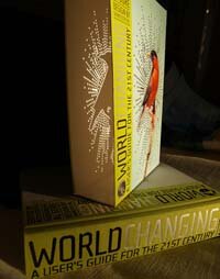 Worldchanging book